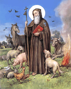 Sant'Antonio abate. L'iconografia tradizionale lo rappresenta sempre con due elementi inscindibili: il fuoco e un maiale.