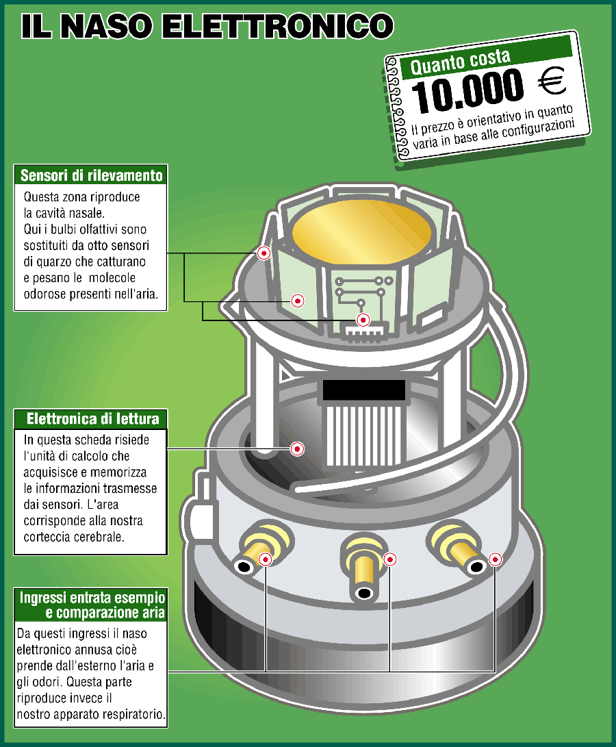 Come &egrave; fatto il naso elettronico