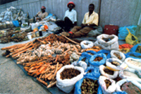 Durban. Un mercato dove si vendono i rimedi della medicina tradizionale