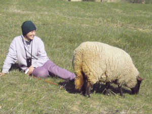 Valentina e una delle sue pecore