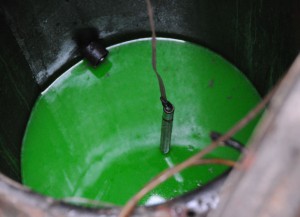 L'acqua contenente fluorescina nella cisterna della Curia